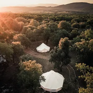 Lodg'ing Nature Camp Luberon Glamping Saint-Michel-lʼObservatoire